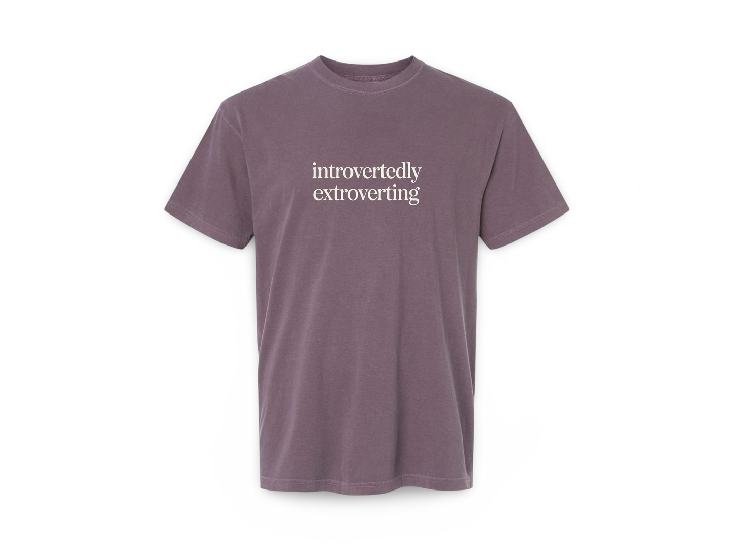 Introverted Extrovert (Tee Shirt)