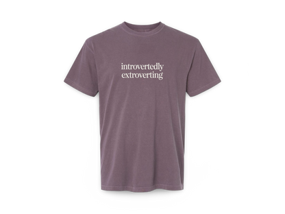 Introverted Extrovert (Tee Shirt)
