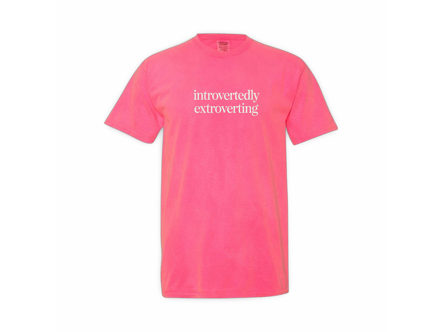 Introverted Extrovert (Tee Shirt)