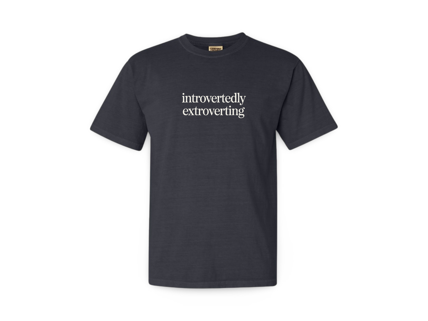 Introverted Extrovert (Tee Shirt)