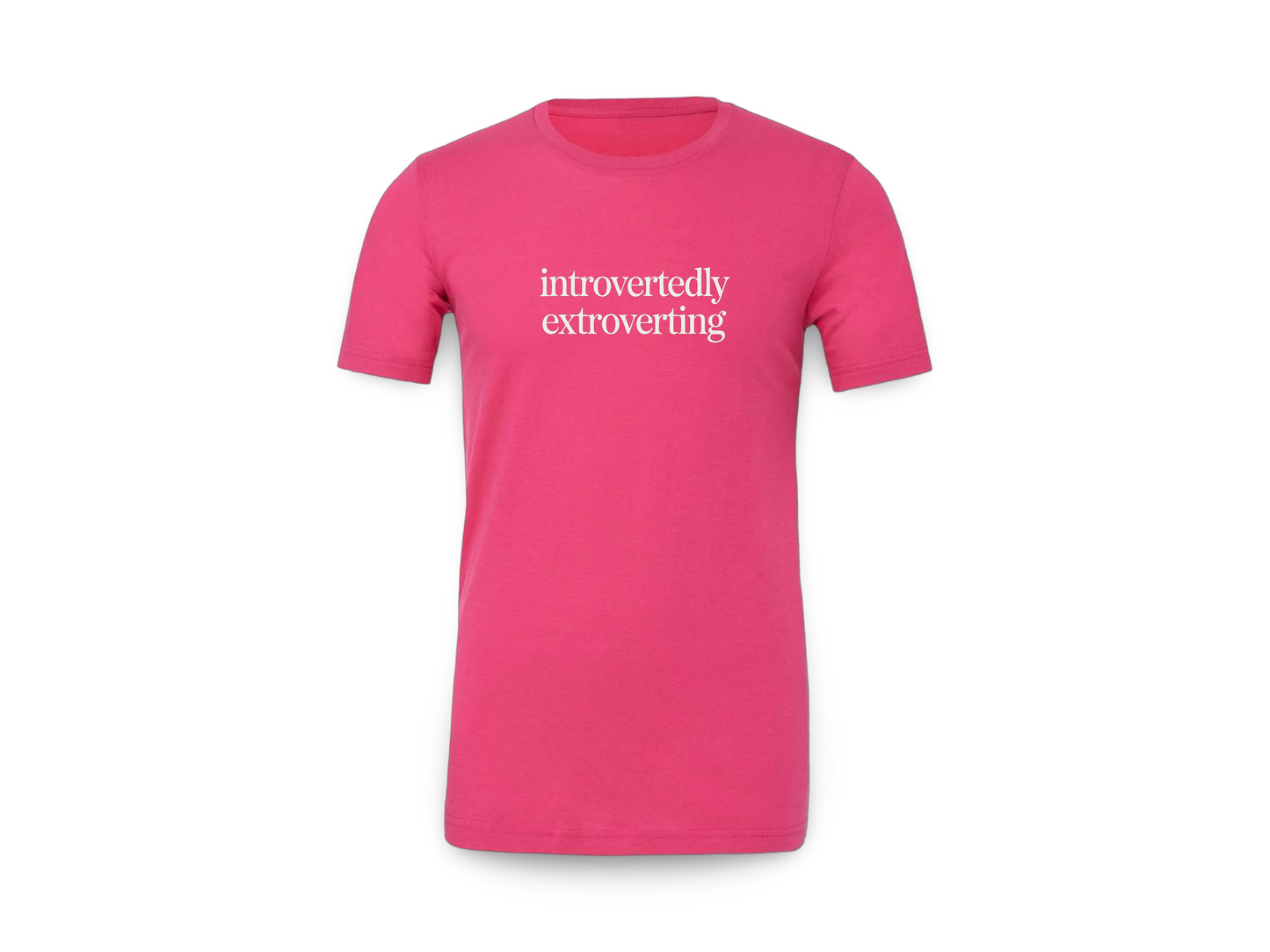 Introverted Extrovert (Tee Shirt)