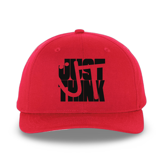 The Mashup (SnapBack Hat)